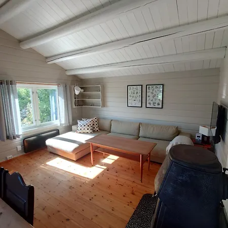 Mountain View * Torvik